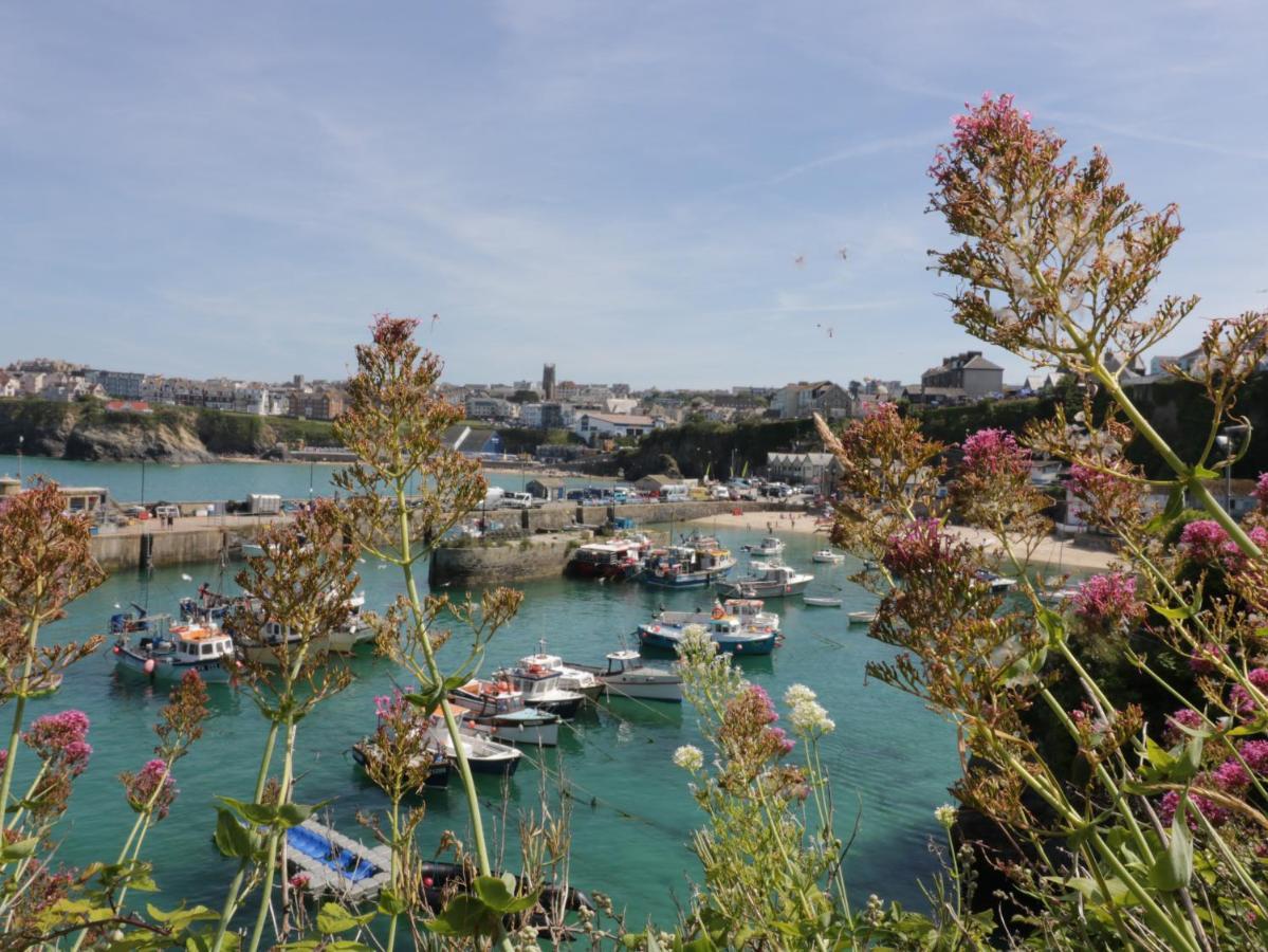 9 Headland Point Διαμέρισμα New Quay Εξωτερικό φωτογραφία